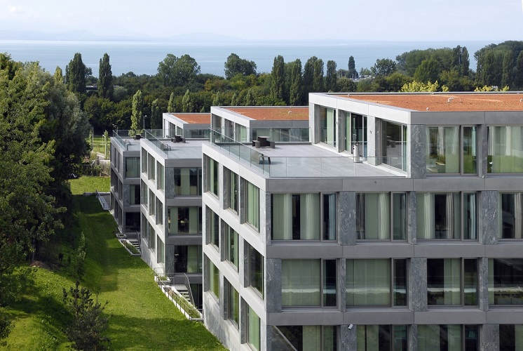 Rhodanie image